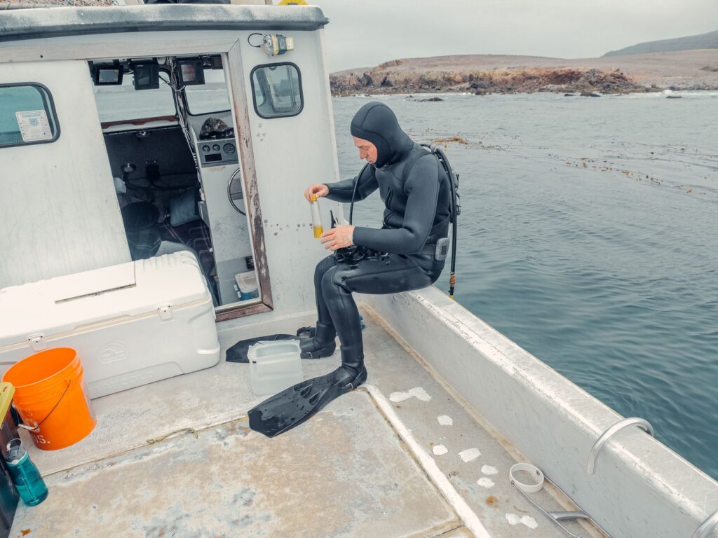 El Refugio de la Orca en el Estrecho de Gibraltar: Oceanografía, Dinámicas Estuarinas y Conservación en el Conector Ibérico-Marroquí