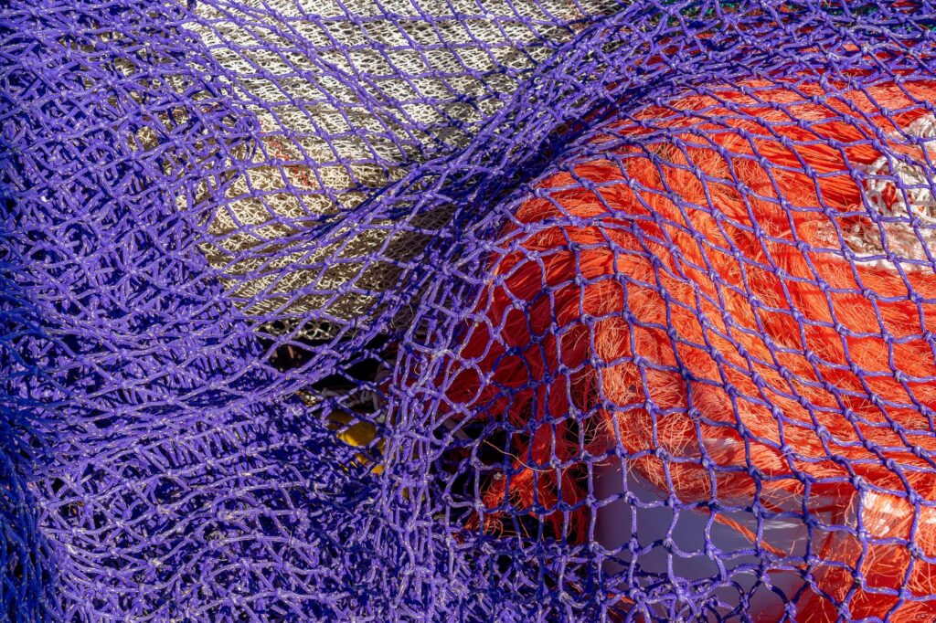 El latido de las estepas salinas: cómo la bioingeniería y la custodia ganadera transforman la conservación en los Monegros