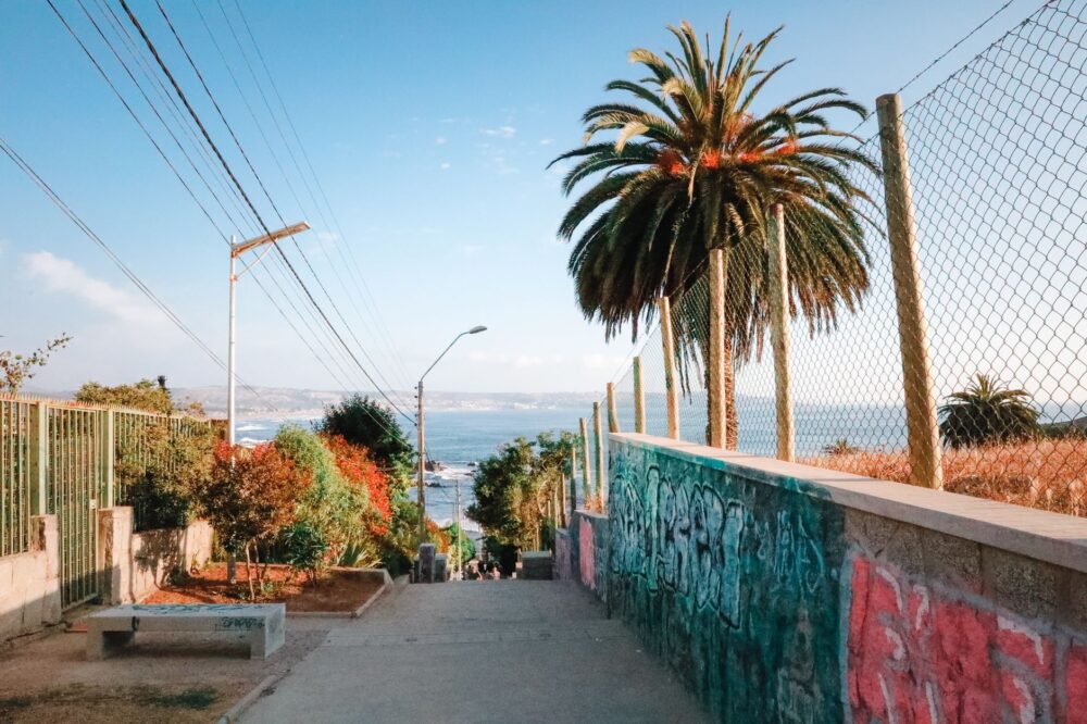 El Terrat y la resistencia creativa de Valparaíso: El sabor que devuelve la vida al Cerro Alegre