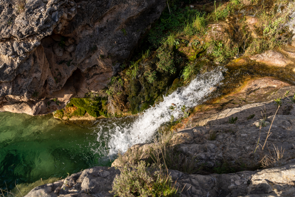 Cumbres áridas y conservación: la metamorfosis verde de los montes Hajar en los Emiratos Árabes Unidos