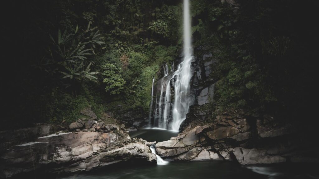 El laberinto de hierro del Ferrocarril de la Jungla de Kuranda: Ingeniería tropical, selva milenaria y la movilidad anfibia de Queensland