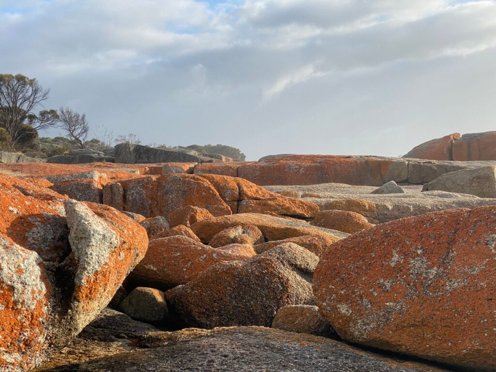 El laberinto intermodal del archipiélago de las islas Furneaux: goletas de marea, pistas de rocas y la frágil conectividad de un confín de Bass
