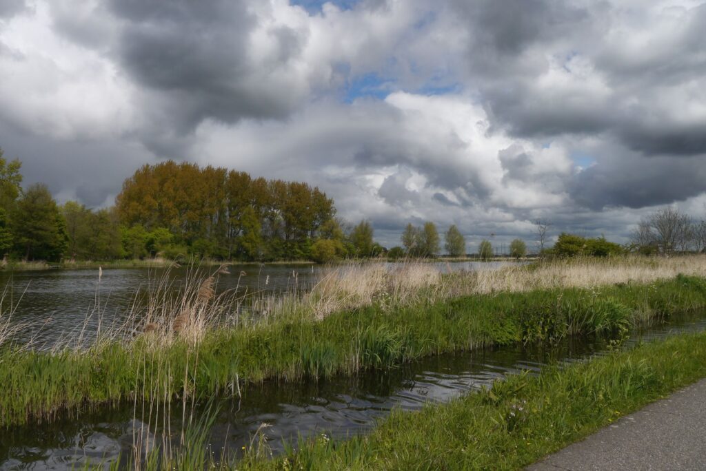 El renacimiento verde de Oldham: De las cenizas industriales al mayor parque ecológico urbano del Reino Unido