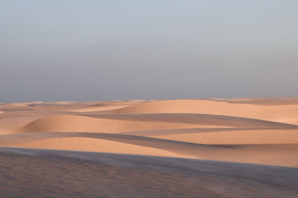 El nuevo compás del desierto: cómo la diversidad rediseña el turismo de eventos en el Golfo