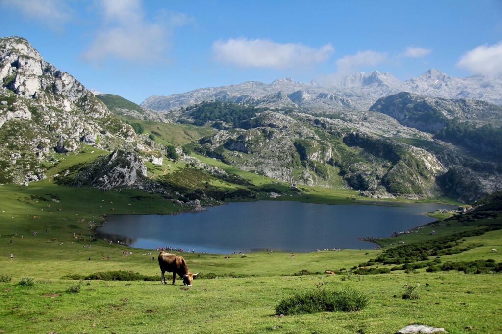 La Senda de las Marmotas y los Glaciares: Guía de Alta Montaña en el Parque Nacional de los Picos de Europa