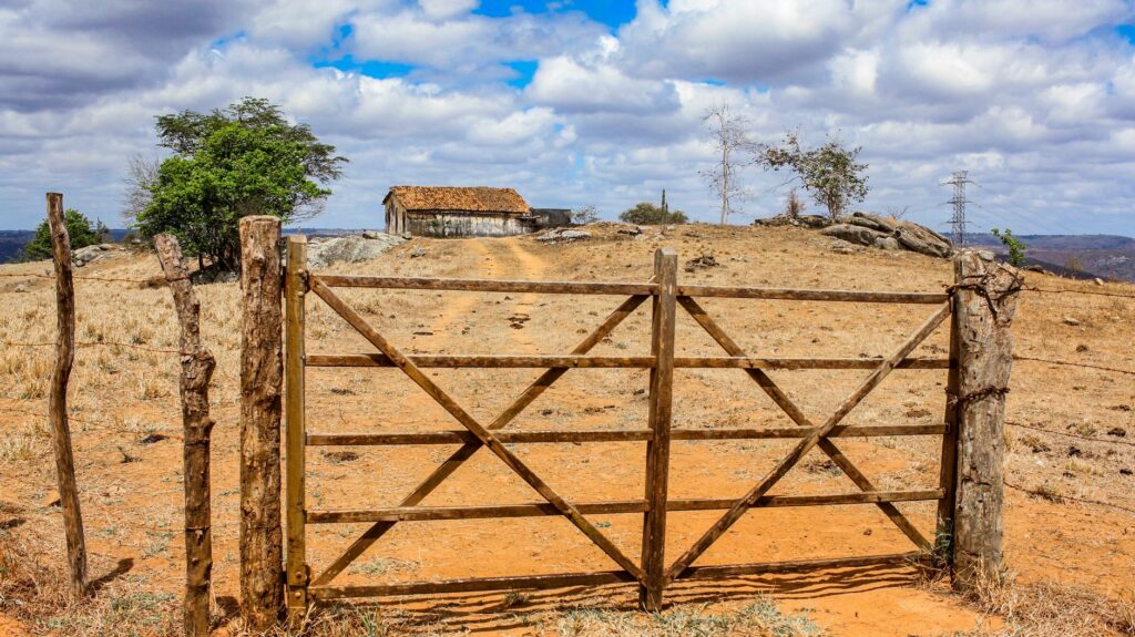 El laberinto de la trocha y la sabana: la odisea logística del tren de Benguela en el corazón de Angola