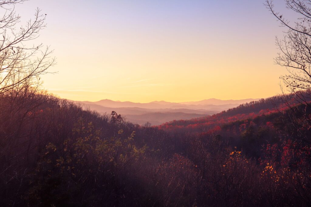 El adiós de Nashville: cuando el cielo de Tennessee lleva el nombre de Dolly Parton