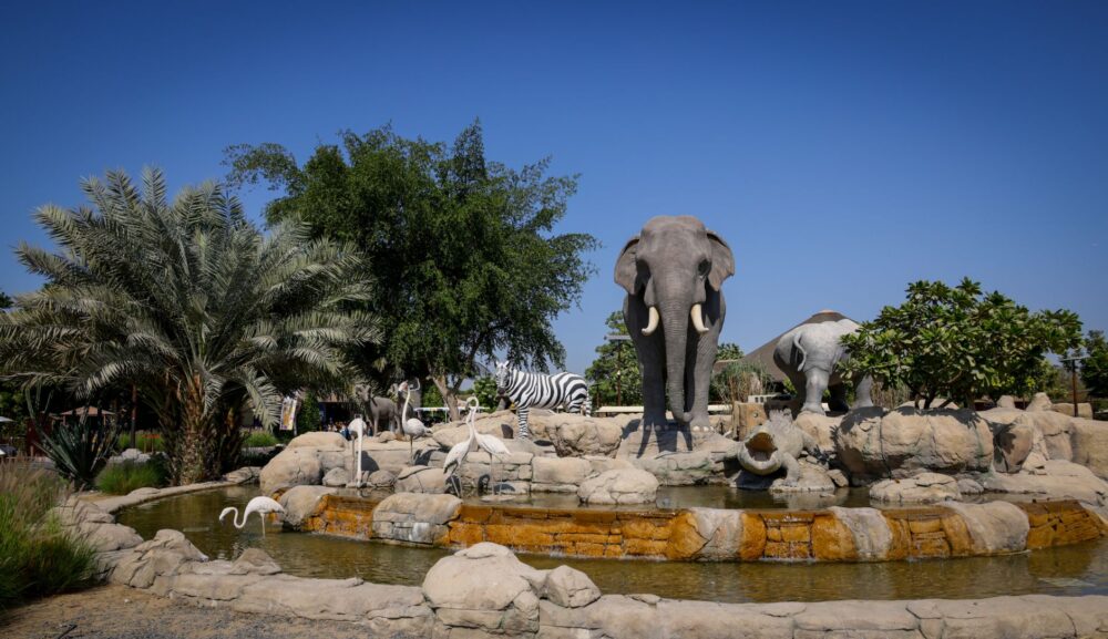 Más allá de las dunas: la metamorfosis natural y conservacionista del Dubai Safari Park