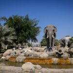 Más allá de las dunas: la metamorfosis natural y conservacionista del Dubai Safari Park