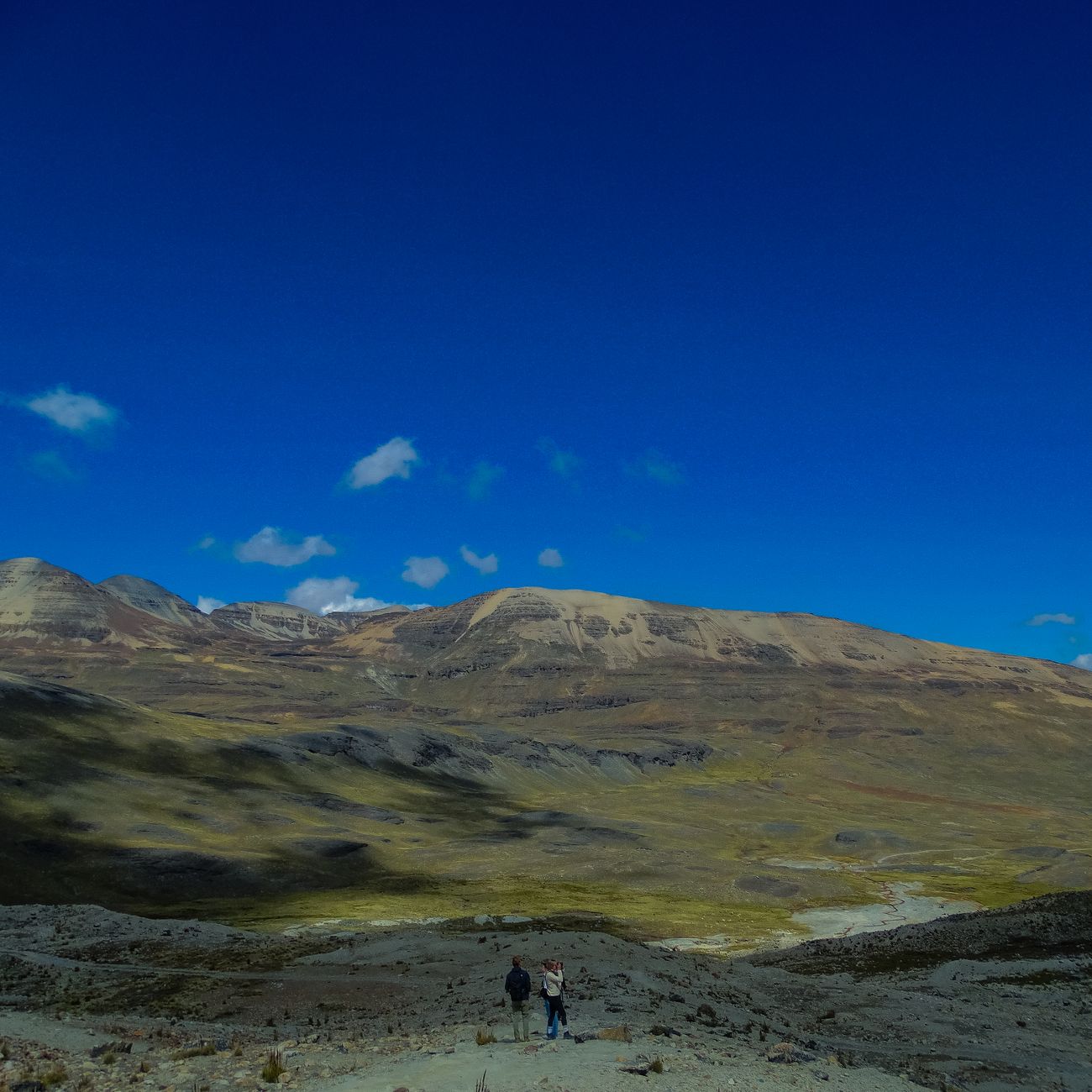 El Ferrocarril de la Puna: Ingeniería de altiplano, logística de las nubes y la conectividad ferroviaria histórica hacia el norte argentino