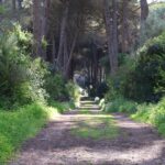 El latido meridional de la Apulia: Caminos de piedra seca, puertos adriáticos y la conectividad rural del Salento