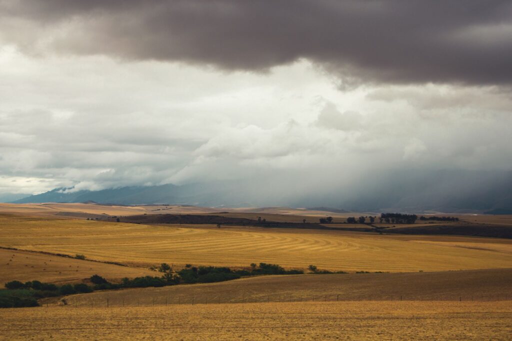 El secreto de la harina y el molino: la liturgia del pan candeal y los hornos de arcilla en los campos de Zamora