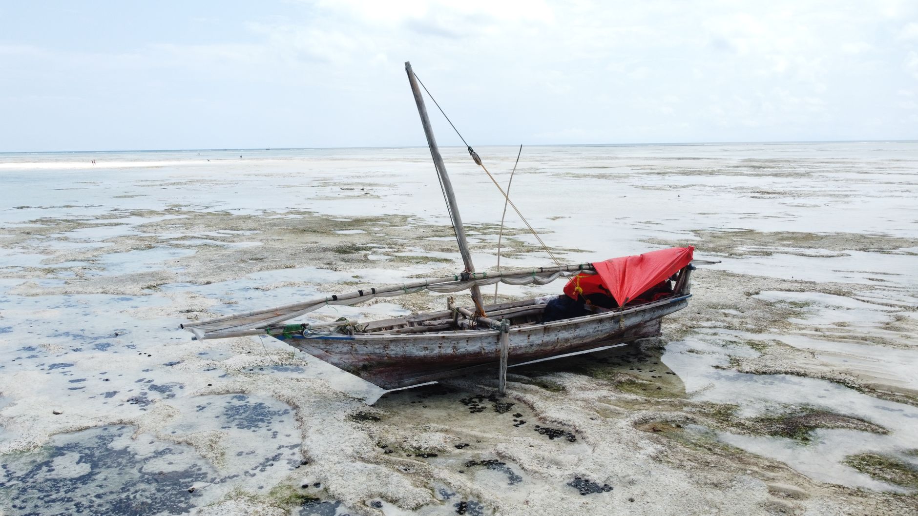Navegación en el Mar de los Wadden: Guía Marítima y Travesía de Mareas entre las Islas Frisias