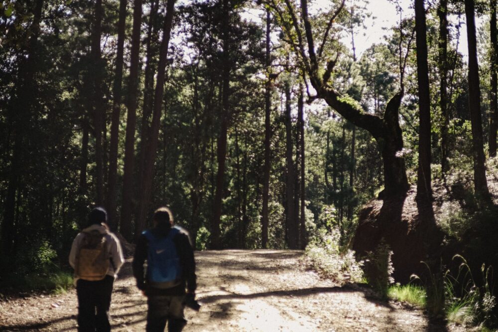 Fiebre de barro y lluvia: mi bautizo de trail running en la selva húmeda de la Patagonia chilena