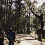 Fiebre de barro y lluvia: mi bautizo de trail running en la selva húmeda de la Patagonia chilena