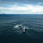 El Santuario Submarino del Mar de Ross: Oceanografía, Bancos de Hielo y Conservación en el Último Océano Virgen de la Tierra