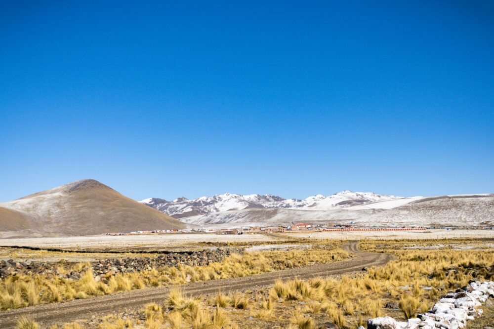 El latido de los páramos andinos: cómo la restauración de bofedales y los senderos de pastoreo transforman la conservación en el Parque Nacional Cajas