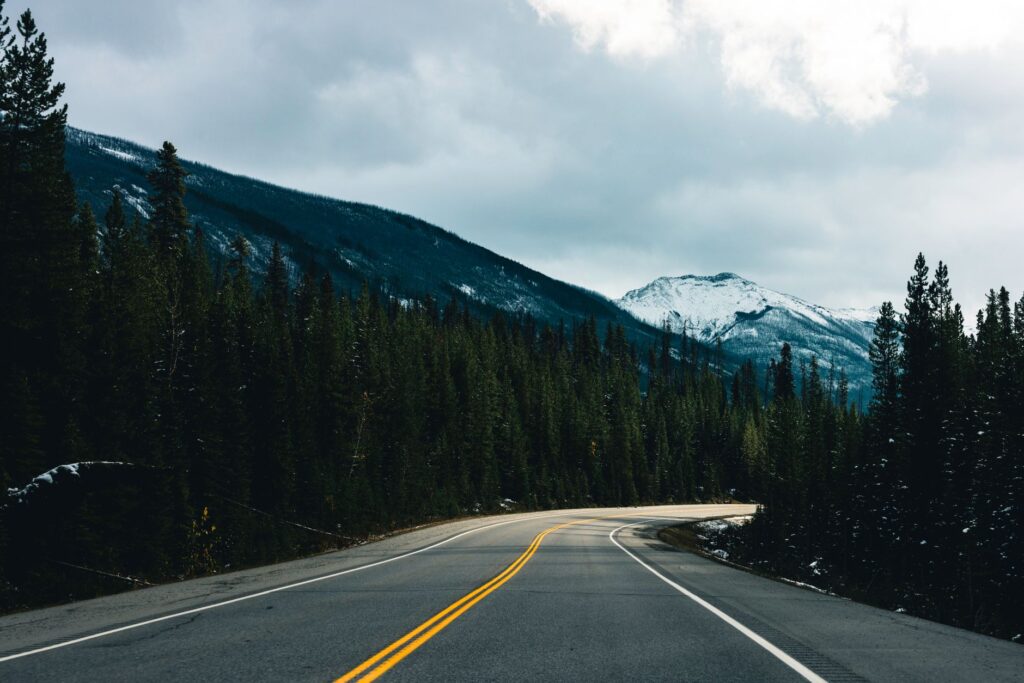 Naturaleza sin fronteras: El corredor migratorio y ecológico que une a Canadá y México