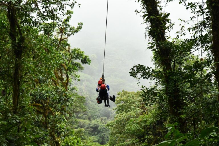 El laberinto de los bosques nubosos: cómo la movilidad comunitaria y los senderos aéreos transforman el transporte en Monteverde