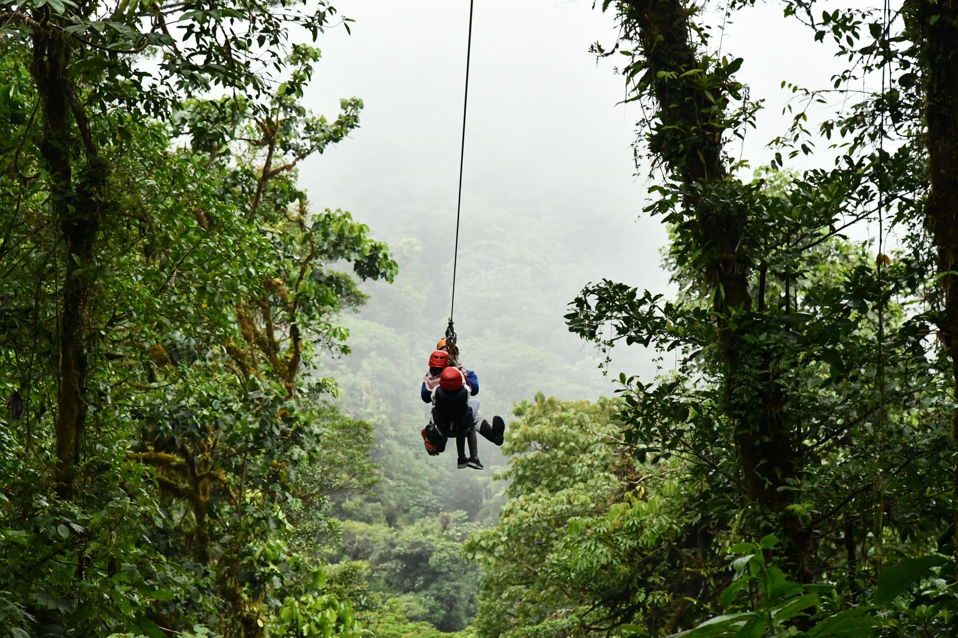 El laberinto de los bosques nubosos: cómo la movilidad comunitaria y los senderos aéreos transforman el transporte en Monteverde
