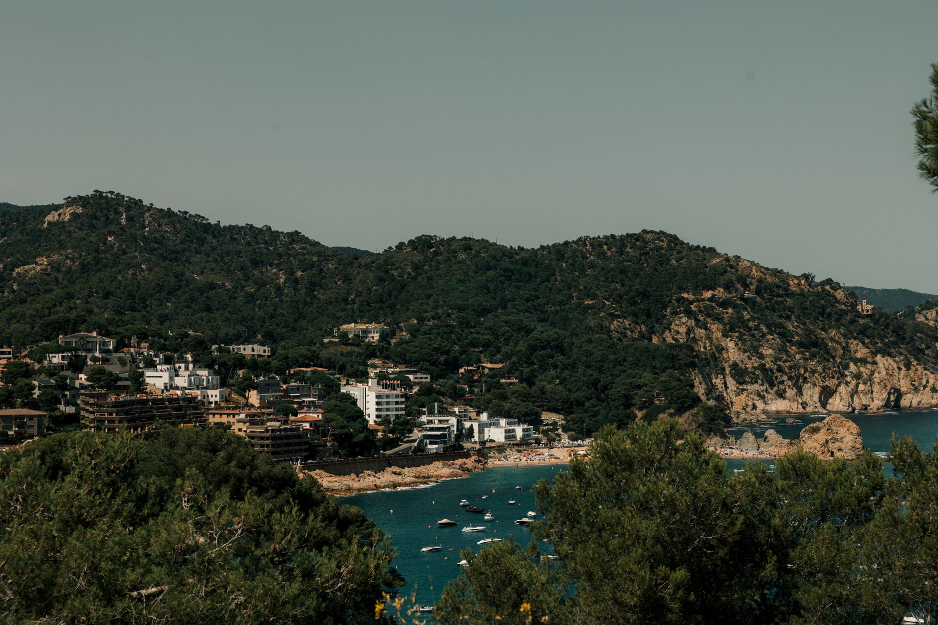 El latido secreto del ferrocarril de la Costa Brava: ingeniería férrea y el pulso mediterráneo entre acantilados