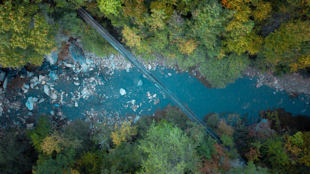 El latido verde de la Selva Valdiviana: biogeografía, endemismo y conservación en el refugio templado de Sudamérica