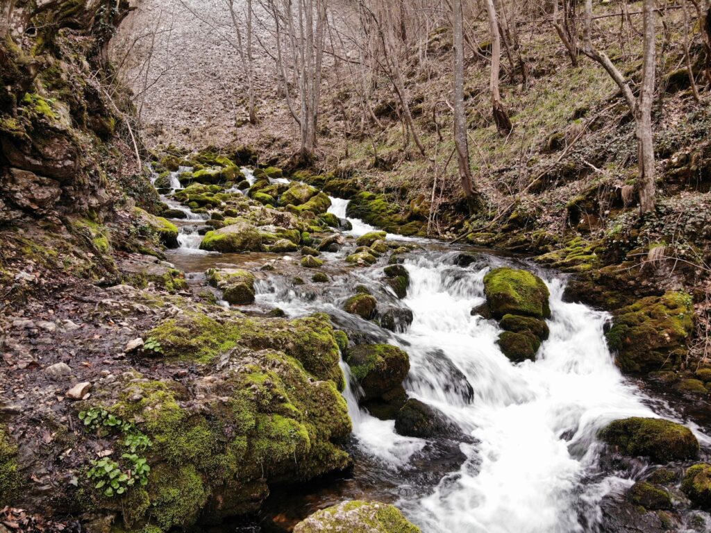 El silencio milenario de los baños de vapor de los Cárpatos: hidroterapia mineral y arquitectura de madera en las profundidades de Transilvania