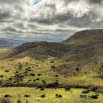 El latido de la piedra seca: laja, pendiente y memoria en los bancales de la Sierra de Tramuntana