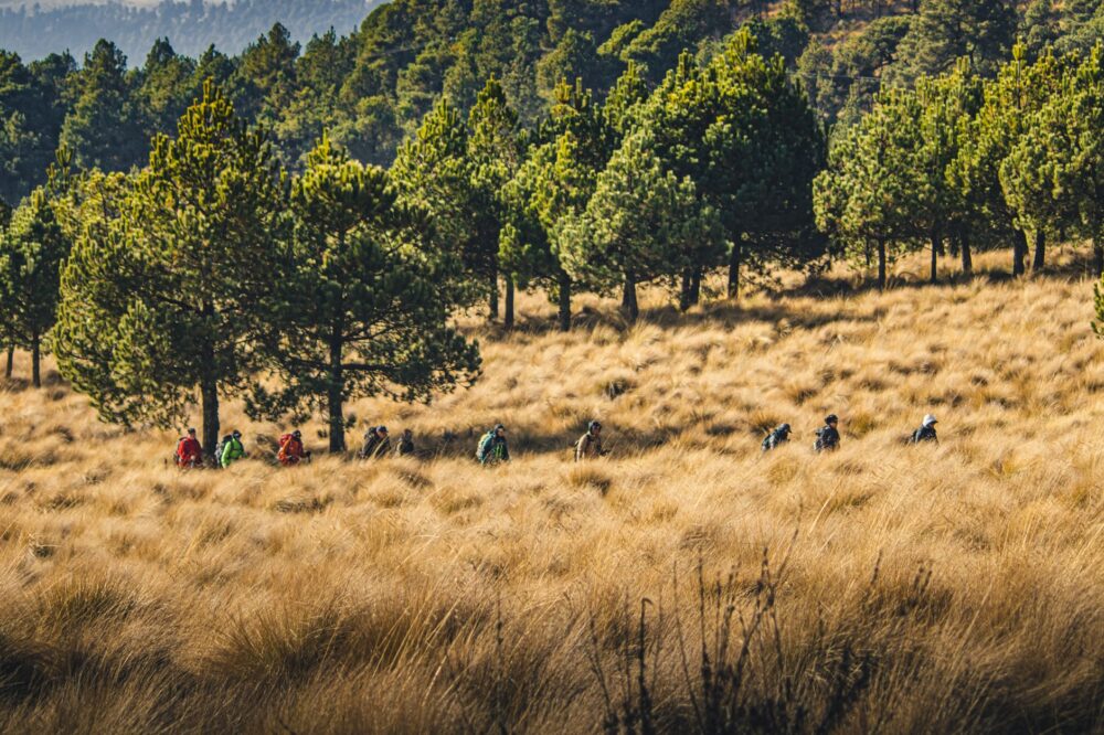 Naturaleza sin fronteras: El corredor migratorio y ecológico que une a Canadá y México