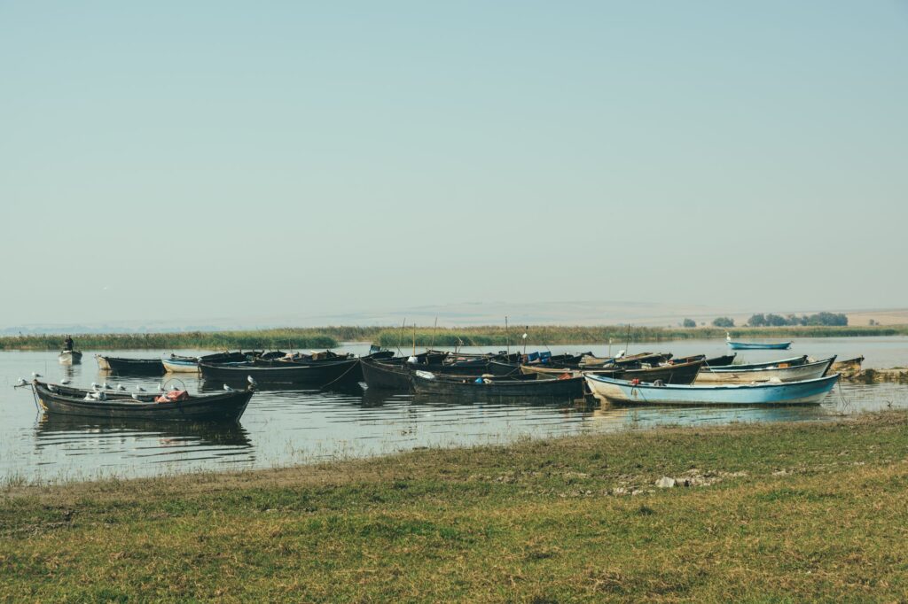 El latido meridional de la región de Setúbal: Puertos de estuario, transbordadores de marea y la conectividad anfibia del estuario del Sado
