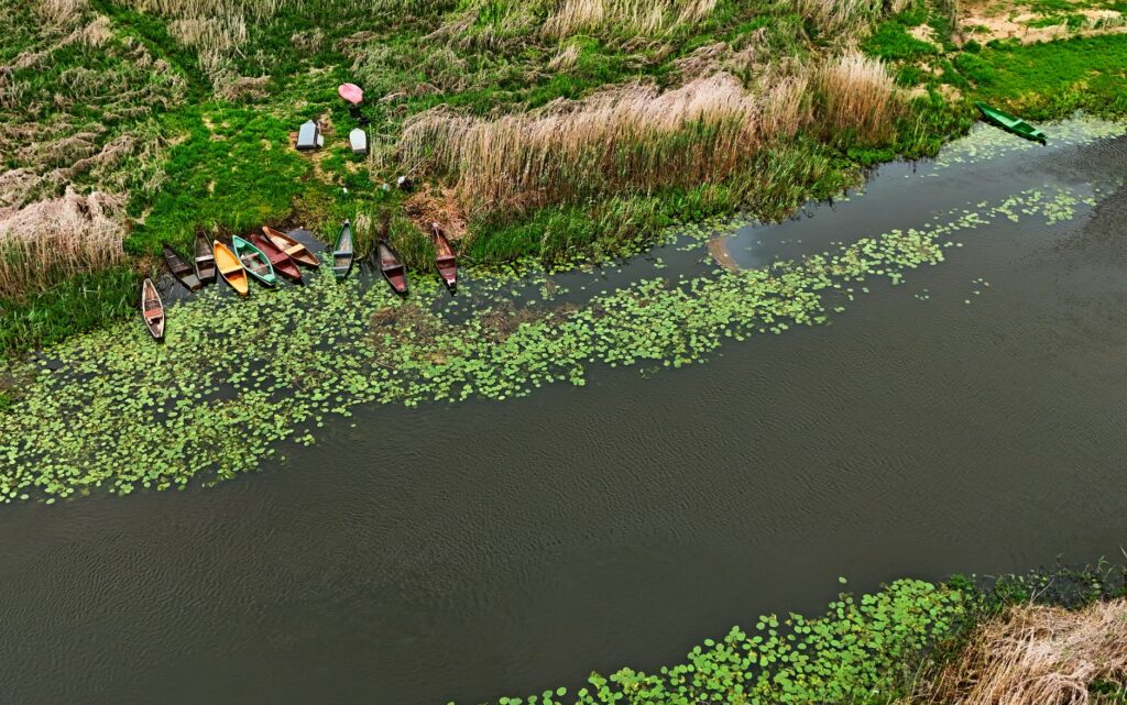 El laberinto intermodal del delta del Okavango: avionetas de campo, mokoros de poling y la frágil conectividad de un humedal africano