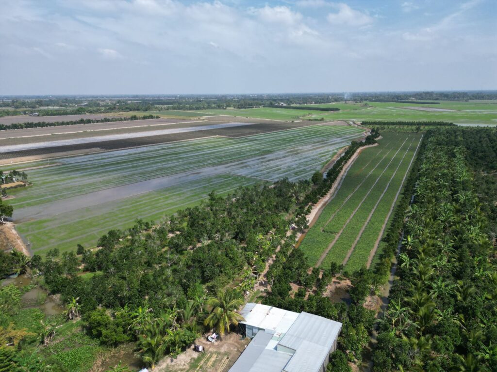 El despertar del Mekong: Can Tho y Japón tejen una nueva ruta de incentivos turísticos