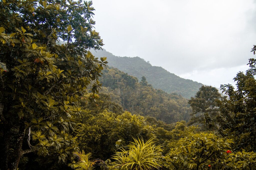 El laberinto ferroviario de las tierras altas de Sumatra: locomotoras de cremallera, selva tropical y la frágil conectividad de la línea de West Sumatra