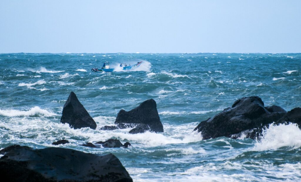 El secreto del carbón y la marea: La tradición viva de los asadores de pescado en Getaria y el territorio costero vasco