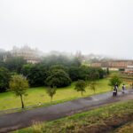 Edimburgo, más allá de la piedra: El latido oculto bajo la niebla escocesa