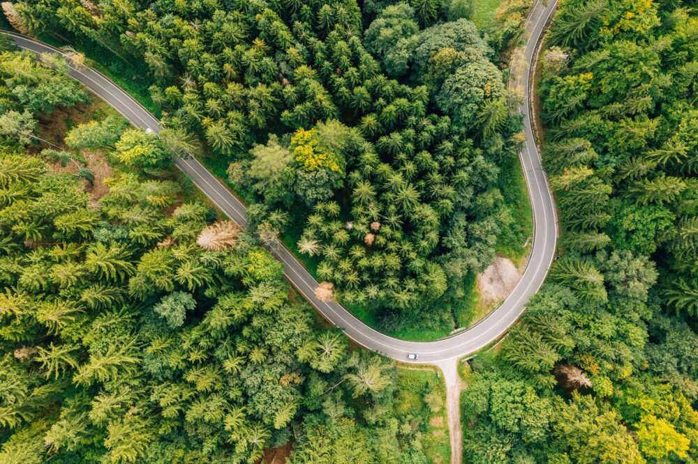 El latido de los bosques templados: cómo el transporte híbrido y las vías verdes fluviales transforman la movilidad en la Selva Negra