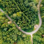 El latido de los bosques templados: cómo el transporte híbrido y las vías verdes fluviales transforman la movilidad en la Selva Negra