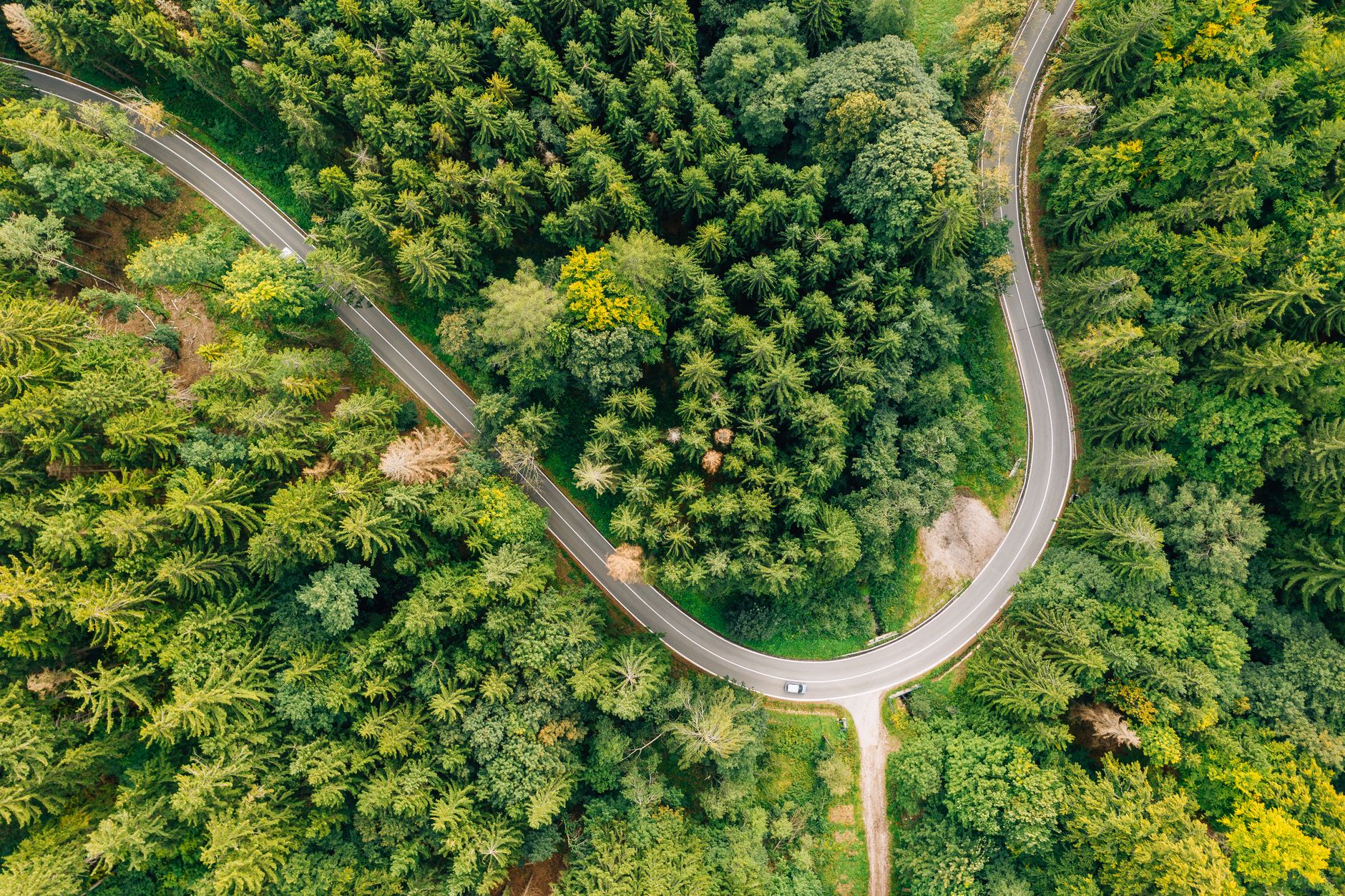 El latido de los bosques templados: cómo el transporte híbrido y las vías verdes fluviales transforman la movilidad en la Selva Negra