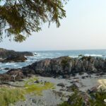 La Travesía del Sendero West Coast Trail en la Isla de Vancouver: Guía de Expedición y Senderismo por los Acantilados y Playas Salvajes del Pacífico