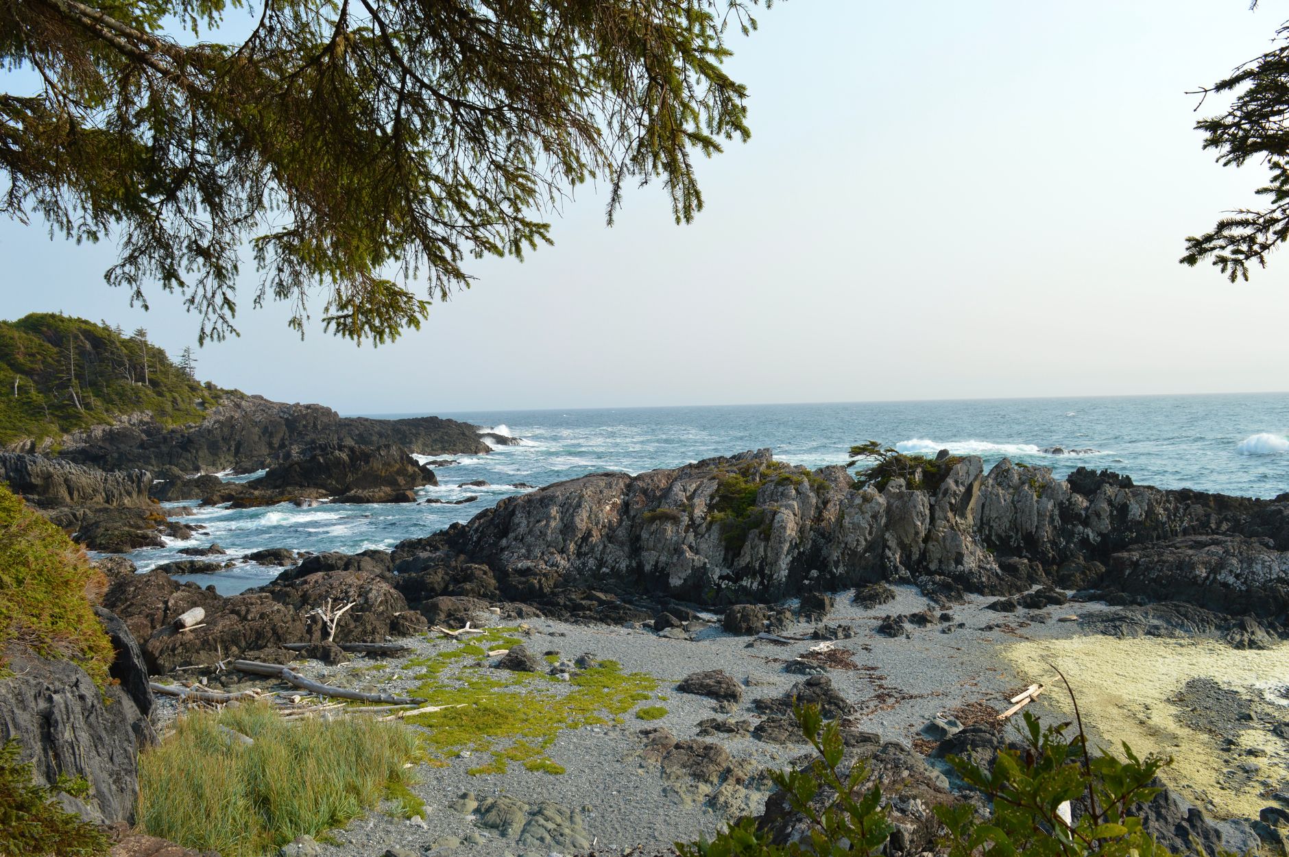 La Travesía del Sendero West Coast Trail en la Isla de Vancouver: Guía de Expedición y Senderismo por los Acantilados y Playas Salvajes del Pacífico