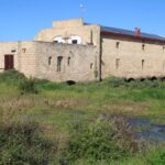 El laberinto de los humedales fósiles: cómo la restauración hidrológica y el transporte fluvial silencioso transforman la conservación en el parque natural de Doñana