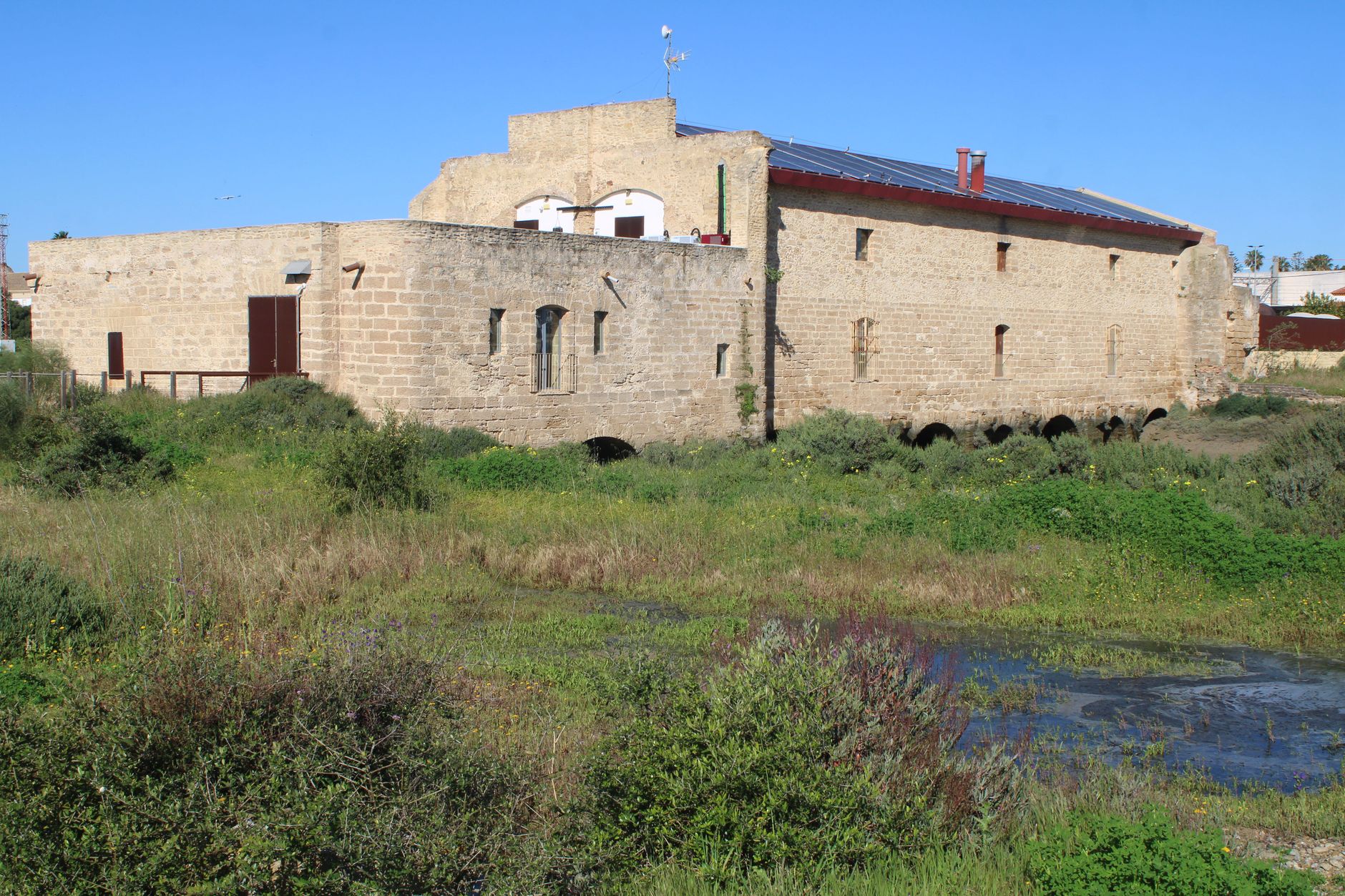 El laberinto de los humedales fósiles: cómo la restauración hidrológica y el transporte fluvial silencioso transforman la conservación en el parque natural de Doñana