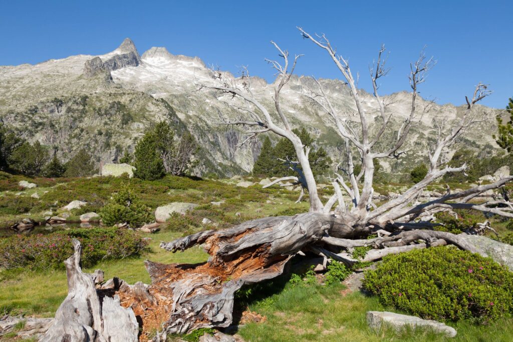 La Travesía del Sendero de Alta Ruta de los Pirineos: Guía de Expedición y Senderismo por la Cresta Fronteriza