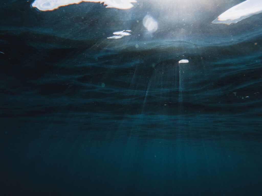 El Santuario Submarino del Mar de Banda: Dinámicas de Fosa, Endemismo Abisal y Conservación en el Triángulo de Coral