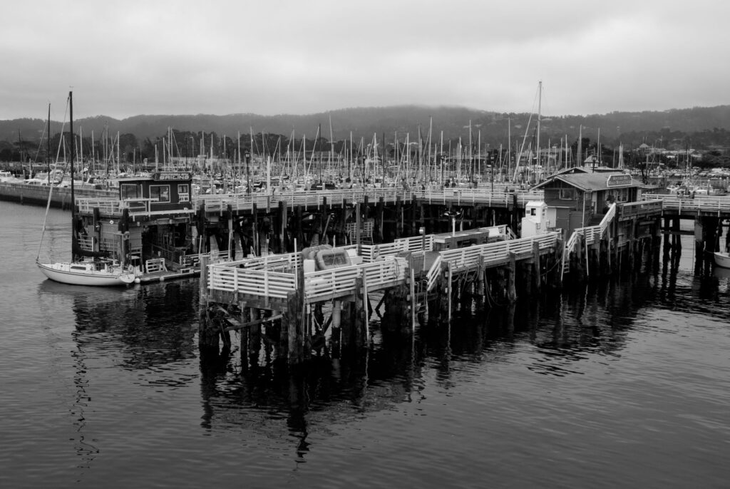 Pedalear por la Costa Norte de California: Entre Secoyas Gigantes, Playas Salvajes y el Renacimiento del Río Klamath