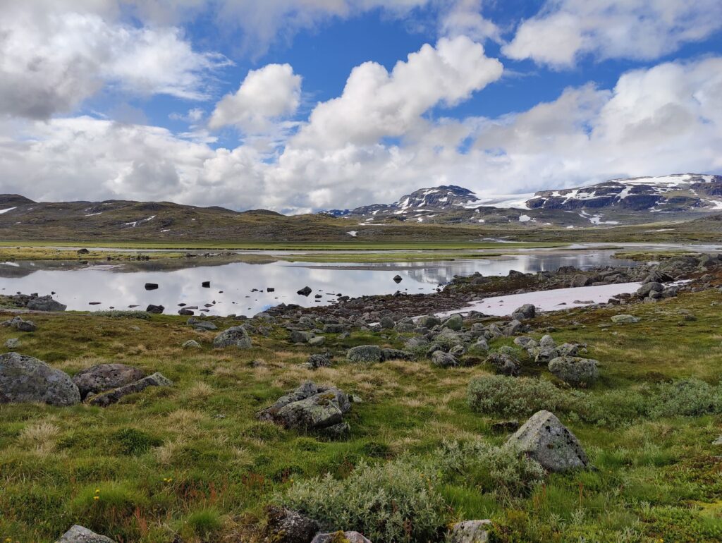 El Refugio del Lobo Ártico en el Parque Nacional Gates of the Arctic: Biología, Aislamiento y Conservación en la Tundra