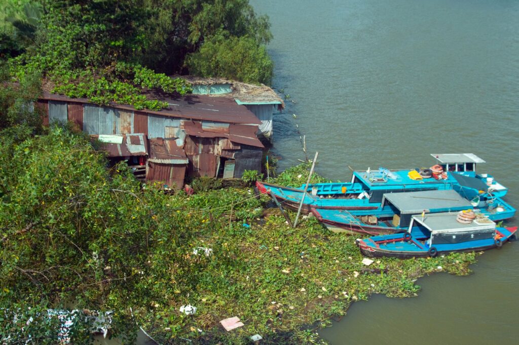 El latido de la sal y el basalto: la odisea fluvial del río Gambia y la soberanía anfibia de los barcos de pasajeros