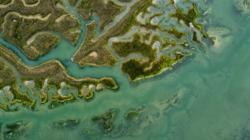 El laberinto de hierro y sal: la conectividad fluvial del delta del río Gambia y sus barcos de correo