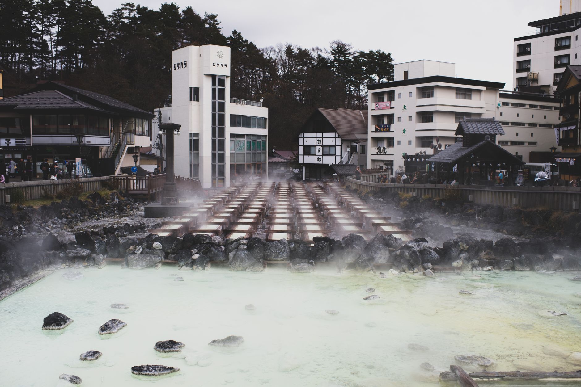 El rumor del agua en Kumano: la sabiduría milenaria del termalismo y el bosque en Wakayama