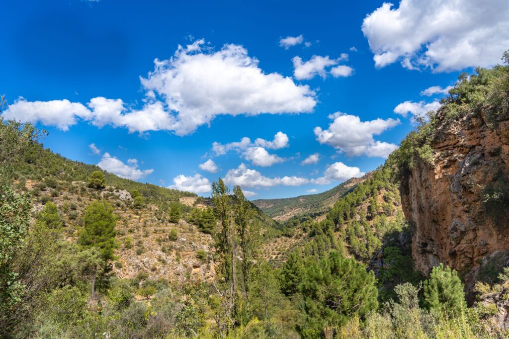 El refugio del lince pardina y los humedales del Bajo Tormes: ecología fluvial y conservación en las riberas castellanas
